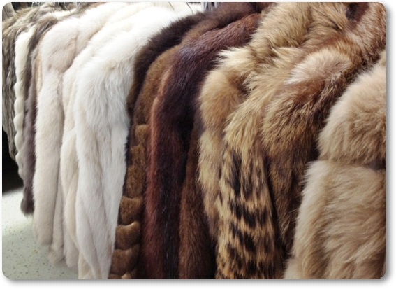 毛皮買取・神奈川県で高額査定・高価買取ならココがいい!